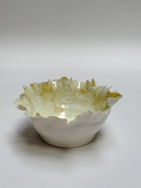 Medium shell bowl - cosmic