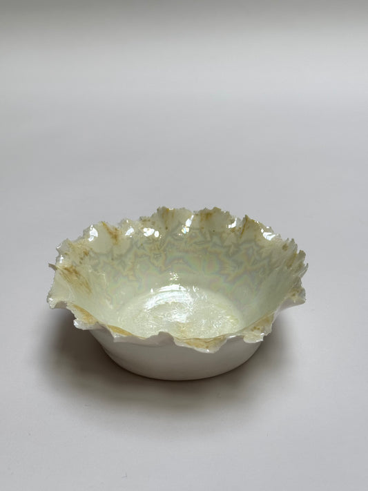 Small shell bowl - cosmic